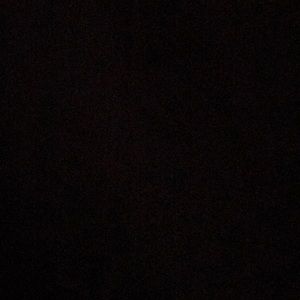 Meet your Posher, Riley